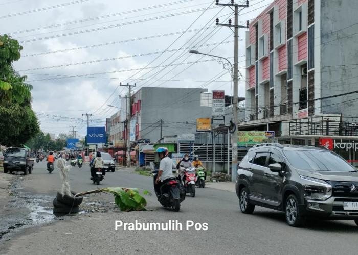 Protes Jalan Rusak, Warga Tanam Pohon Pisang di Jalan Padat Karya Kota Prabumulih