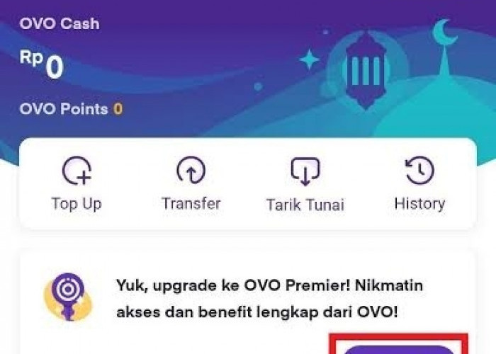 Buruan Upgrade OVO Premier, Dijamin Panen Keuntungan!