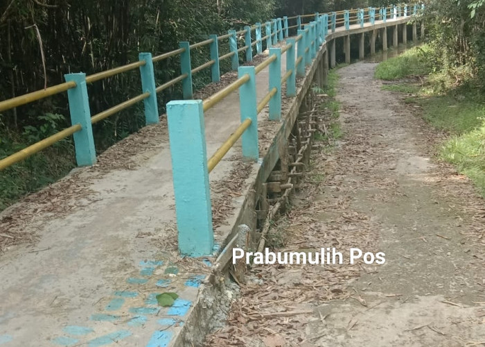 ﻿Tiga Tahun Dikerjakan Jembatan Titian Desa Talang Batu Selesai, Anggarannya Miliaran 