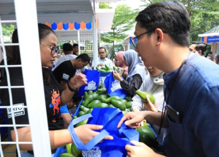 Berkat Program Pemberdayaan BRI Klasterku Hidupku, Petani Ini Berhasil Kembangkan Budidaya Alpukat