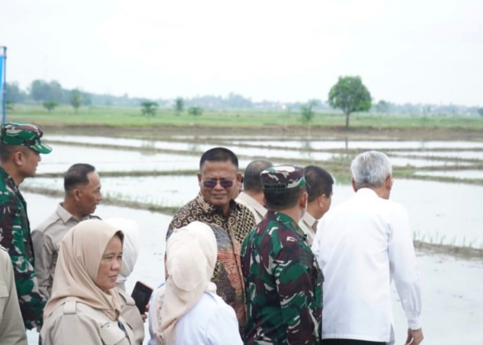 Perkuat Peran Petani, HKTI Sumsel Siap Dorong Ketahanan Pangan Daerah