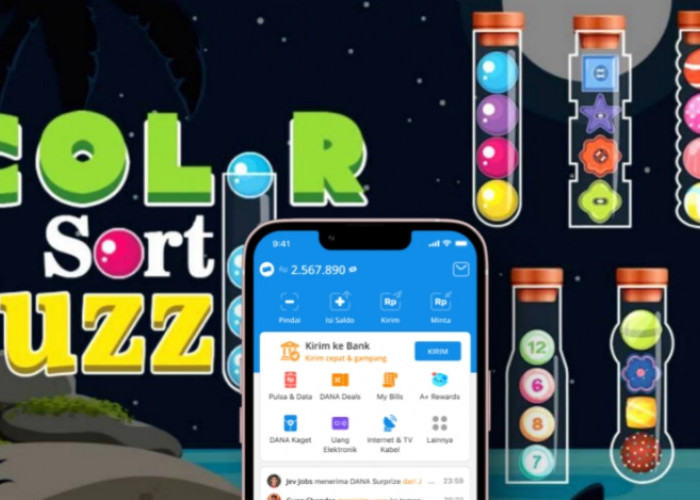 Benarkah Game Color Sort Bisa Menghasilkan Saldo DANA? Simak Penjelasannya