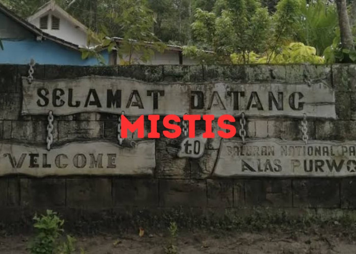Mistis! Ini 3 Tempat Wisata Terlarang Dikunjungi, Nomor 3 Bikin Pendek Umur