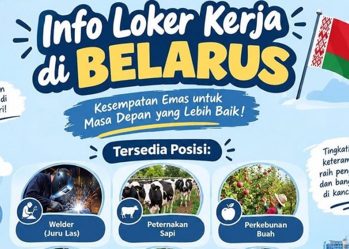 Lowongan Kerja Luar Negeri 2026 Dibuka, Gaji Belasan Juta dan Mess Gratis