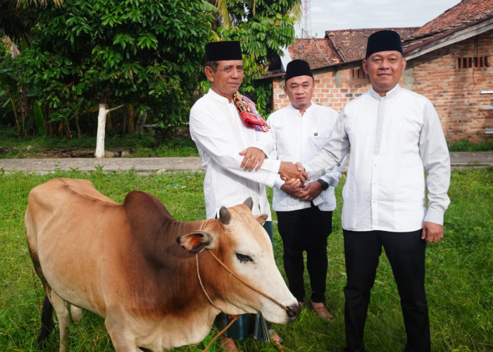 Wakili Wali Kota, Kadiskominfo Prabumulih Salurkan Hewan Kurban di Wonosari