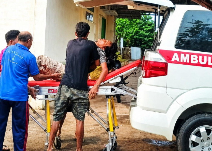 Kasus Gigitan Anjing Liar Kembali Terjadi di Prabumulih, Warga Diminta Waspada Rabies