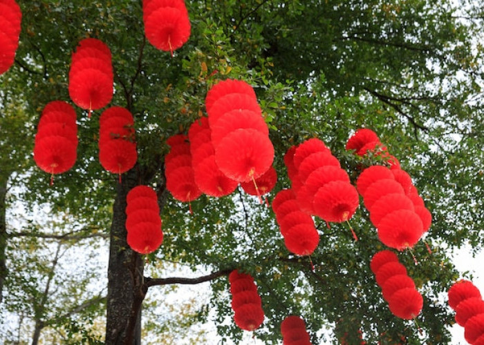 Mengungkap Makna Filosofis Lampion Merah di Perayaan Imlek