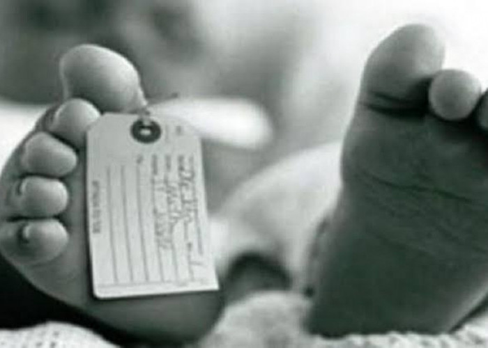Angka Kematian Bayi di Sumsel Turun  89 Persen