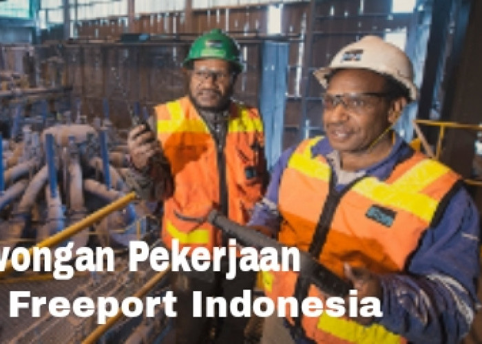 PT Freeport Indonesia Buka Lowongan Kerja 13 Posisi, Penempatan Papua dan Jawa Timur