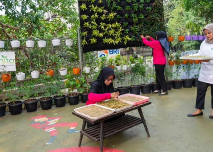 BRI Diakui atas Peran Nyata dalam Urban Farming dan Pemberdayaan  Perempuan