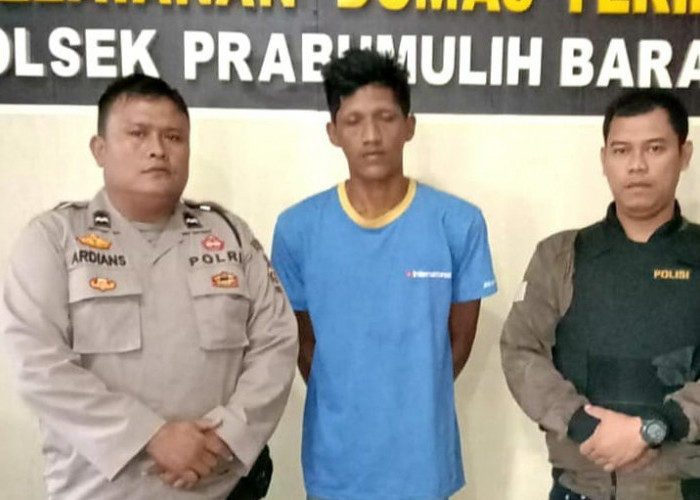 Satu Ditangkap Satu DPO, Ini yang Dilakukan Pelaku