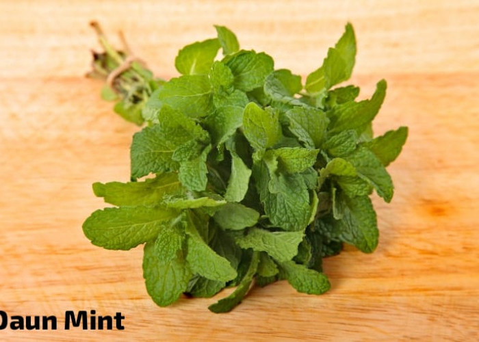 Khasiat Khusus Daun Mint Untuk Kesehatan, Meningkatkan Kesehatan Mulut