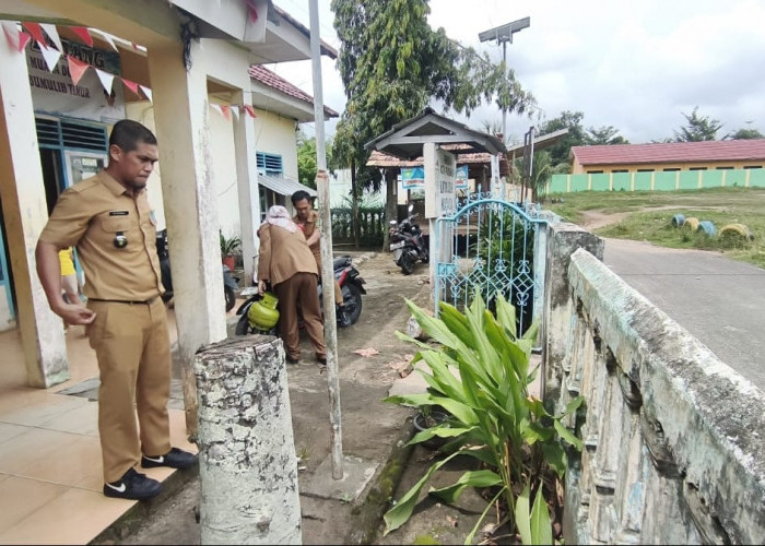 Tanam Kunyit dan Cempokak, Contoh Bercocok Tanam di Halaman Rumah