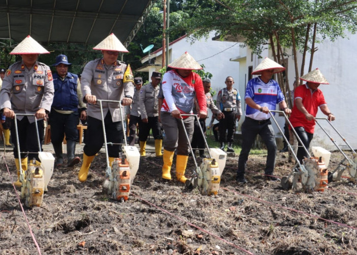 Polres Prabumulih Tanam Jagung untuk Dukung Ketahanan Pangan Lokal