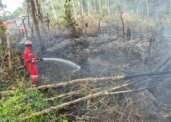 PHR Zona 4 Kerahkan Tim dan Armada, 113 Karhutla di Sumsel Berhasil Ditangani