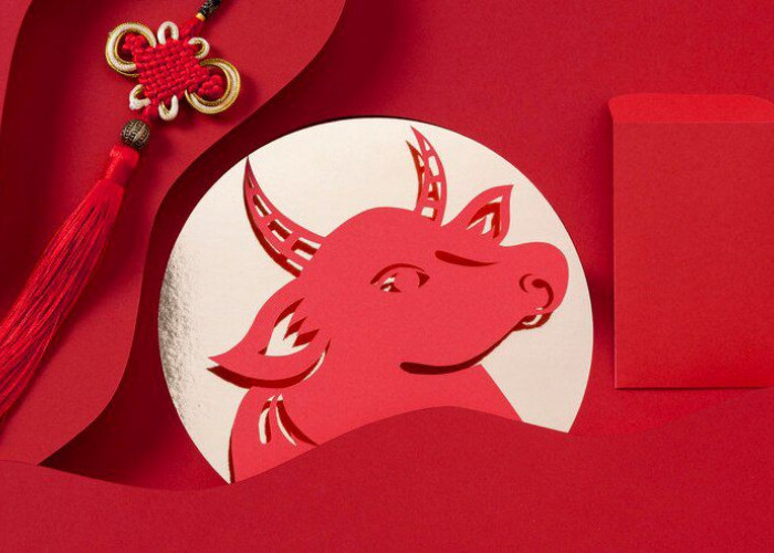 Ramalan Shio Kerbau, Shio Naga, Shio Ayam, Shio Ular, Shio Kambing Hari Ini 6 Juni 2025