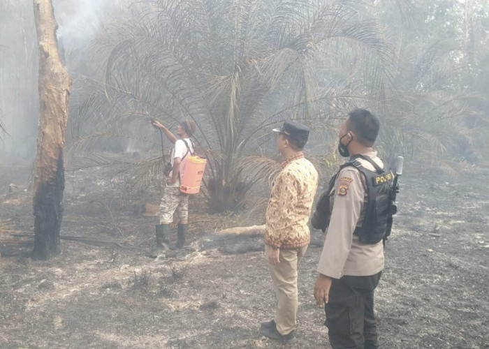 18 Hektar Kebun Sawit dan Karet di 2 Desa Kecamatan RKT Prabumulih Dilalap Api 