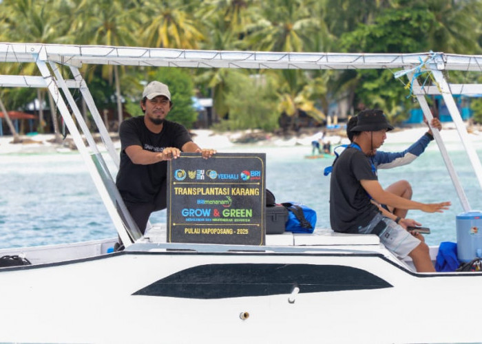 Jaga Ekosistem Laut Tetap Lestari, Ini Aksi Nyata BRI Menanam - Grow and Green di Pulau Kapoposang 
