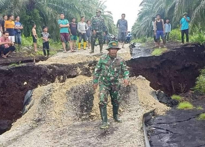 Pulau Bengkalis Riau Terancam Tenggelam, Banyak Kebun dan Jalan Amblas ke Laut