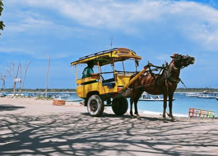 Jangan Dilupakan, Ini Transportasi Tradisional yang Ada di Indonesia, Pernah Menaikinya?