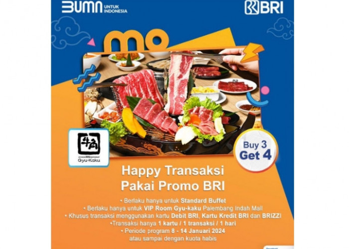 Happy Transaksi Pakai Promo BRI 