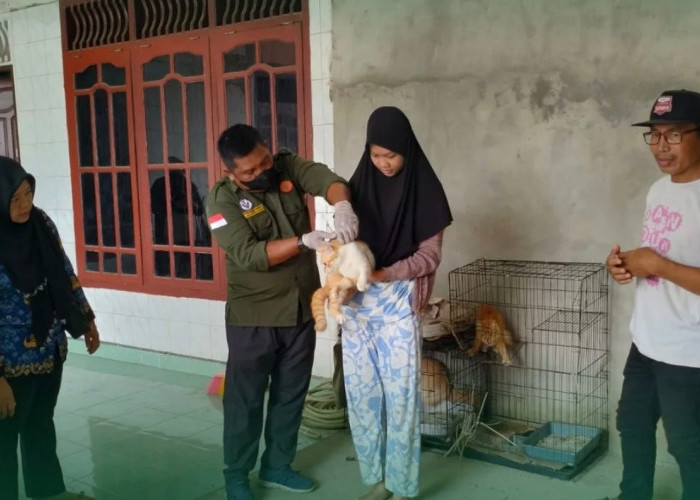 Distan Prabumulih Gerak Cepat, Vaksin Rabies Door to Door Dimulai di Sukajadi
