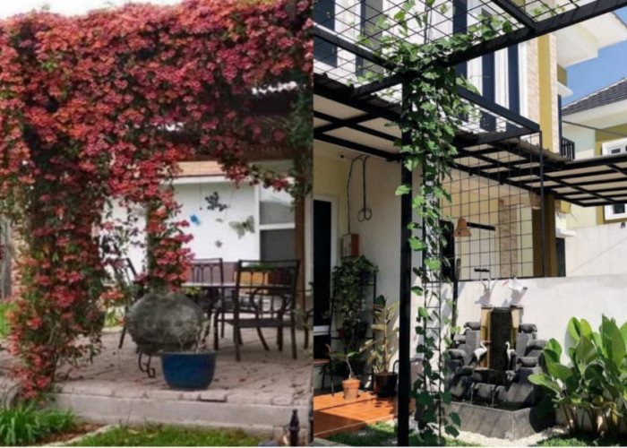 Tren Hunian Minimalis: Percantik Kanopi dengan Tanaman Rambat