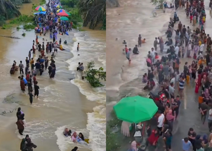Viral! Banjir di Kebun Sawit Riau jadi Objek Wisata Dadakan: Ketika Musibah jadi Berkah