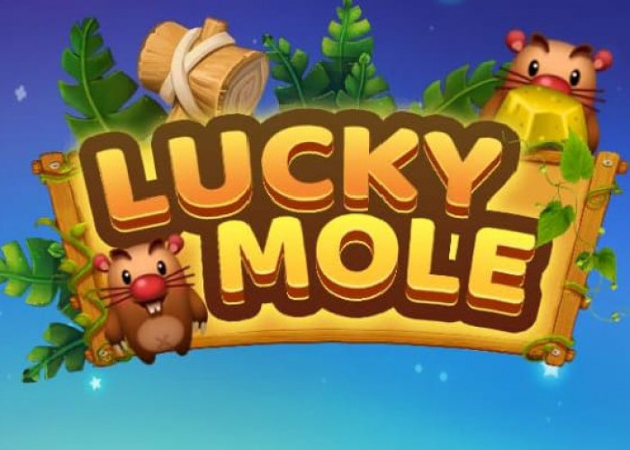 5 Aplikasi Terbaik Penghasil Saldo DANA Gratis Tahun 2025, Cepat dan Terbukti!