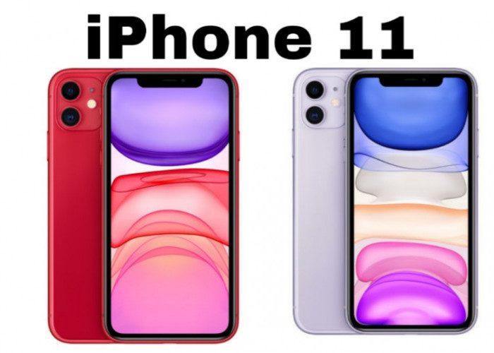 iPhone 11 Pro Kini Terjangkau! Ini Alasan Masih Worth It di 2025