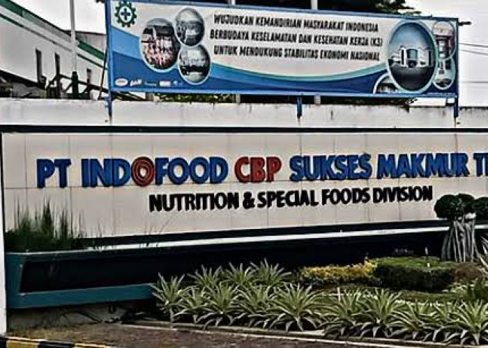 PT Indofood CBP Sukses Makmur Buka Lowongan Kerja untuk Panempatan Seluruh Indonesia, Ini Posisi dan Syaratnya