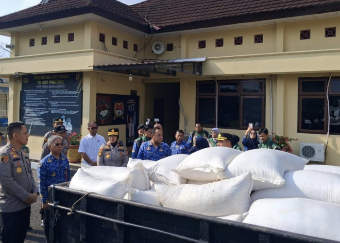 Petani Desa Pangkul Panen Hasil Manis, Jagung Berkualitas Diterima Bulog