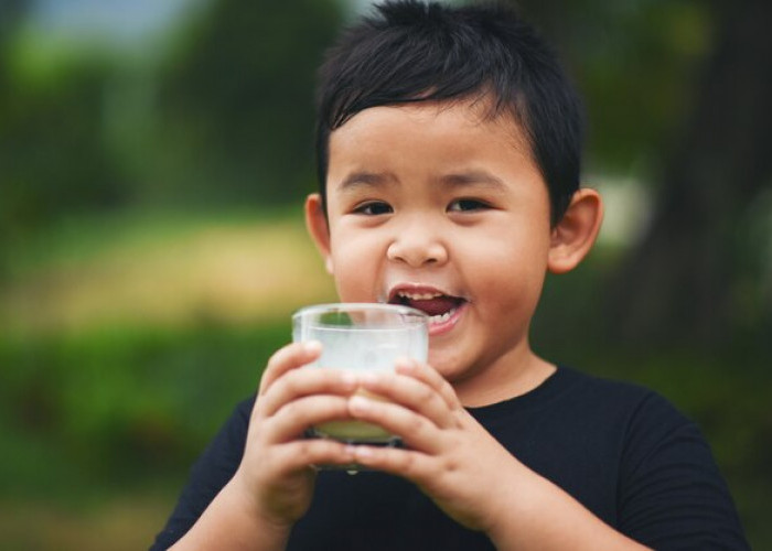 Cara Efektif Membujuk Anak Agar Mau Minum Susu Setiap Hari, Apa Saja?