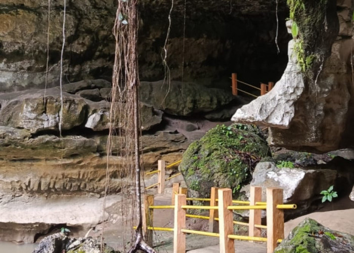 Keindahan Tersembunyi Sumatera Selatan, 7 Destinasi Alam yang Layak Masuk Bucket List