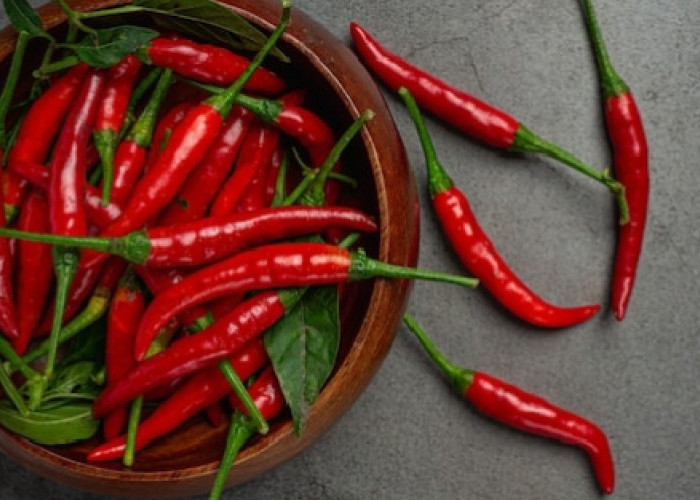 Cabai Cepat Busuk? Begini Trik Jitu Menyimpannya agar Awet Berbulan-bulan
