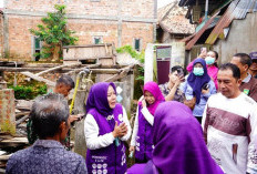 Ketua TP PKK Prabumulih Tinjau Rumah Warga Tak Layak Huni, Lansia Hidup Sebatang Kara Jadi Perhatian