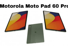 Motorola Moto Pad 60 Pro: Tablet Profesional untuk Bekerja dan Berkreativitas