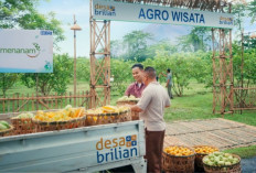 BRI Perkuat Pemberdayaan Desa, Raih Penghargaan di Hari Desa Nasional 2026