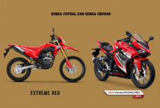 Lebih Pilih Motor Sport Atau Motor Off Road, Ini Bandingan Spesifikasi Honda CRF150L Vs Honda CBR150R 