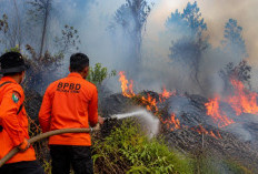 Karhutla Meluas di Muara Enim, 55 Hektare Lahan Terbakar, Gelumbang Jadi Wilayah Terparah