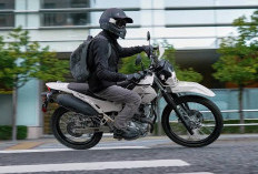 Kawasaki KLX230 Sherpa S ABS 2026, Spesifikasi Lengkap Motor Dual Sport Touring dan Off Road