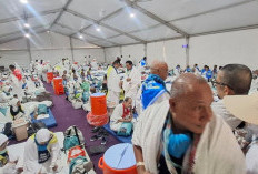 Jemaah Haji Indonesia Mulai Bergerak ke Arafah, Pemerintah Ingatkan Jaga Kesehatan