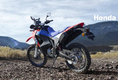 Lebih Suka Berjalan Santai Atau Menjelajah Alam, Adu Spesifikasi Honda Monkey Vs Honda CRF250 Rally