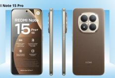 Sensor Besar dan Resolusi Tinggi, Ini Alasan Kamera Smartphone Kembali Fokus ke Hardware