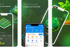 AFK Forest Bagi-Bagi Saldo DANA Gratis Hingga Rp340.000, Begini Cara Klaimnya!