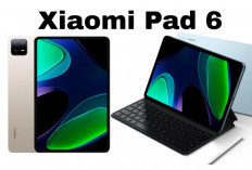 Tablet Multifungsi Xiaomi Pad 6, Hiburan dan Produktivitas dalam Satu Perangkat