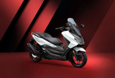 Kelebihan dan Kekurangan Honda Forza, Motor Premium Nyaman Buat Touring dan Harian