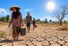 Puncak Kemarau September, Prabumulih Diminta Bersiap Hadapi Kekeringan