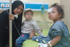 Balita di Prabumulih Jalani Operasi Usai Diserang Anjing, Warga Minta Penertiban Serius