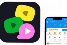TickTick Video: Cara Seru Dapat Saldo DANA dari Video Pendek